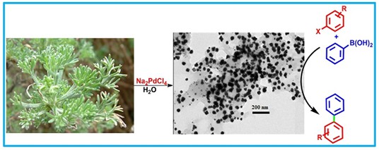 Biogenic synthesis of Palladium nanoparticles mediated by Artemisia abrotanum aqueous extract and its catalytic evaluation for Suzuki coupling reactions 