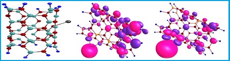 A Quantum, NBO, RDG study the interaction of cadmium ion with the pristine, C, P and C&P doped (4,4) armchair boron nitride nanotube (BNNTs) 