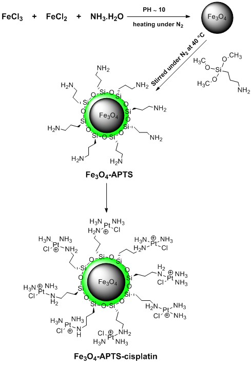 Synthesis and Characterization of Cisplatin Magnetic Nanocomposite 