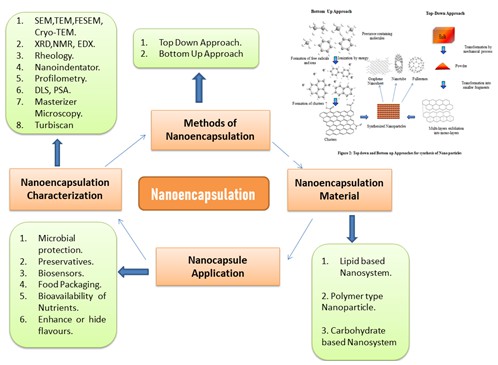 A review: Application and production of nanoencapsulation in the food sector 