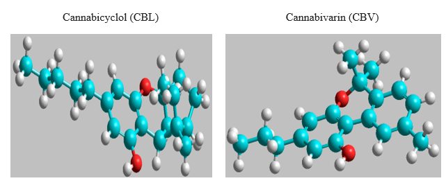 A computational study of thermophysical, HOMO, LUMO, vibrational spectrum and UV-visible spectrum of cannabicyclol (CBL), and cannabigerol (CBG) using DFT 