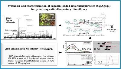 Promising anti-inflammatory bio-efficacy of saponin loaded silver nanoparticles prepared from the plant Madhuca longifolia 