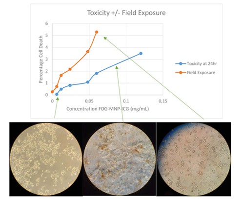 Toxicity testing of indocyanine green and fluorodeoxyglucose conjugated iron oxide nanoparticles with and without exposure to a magnetic field 