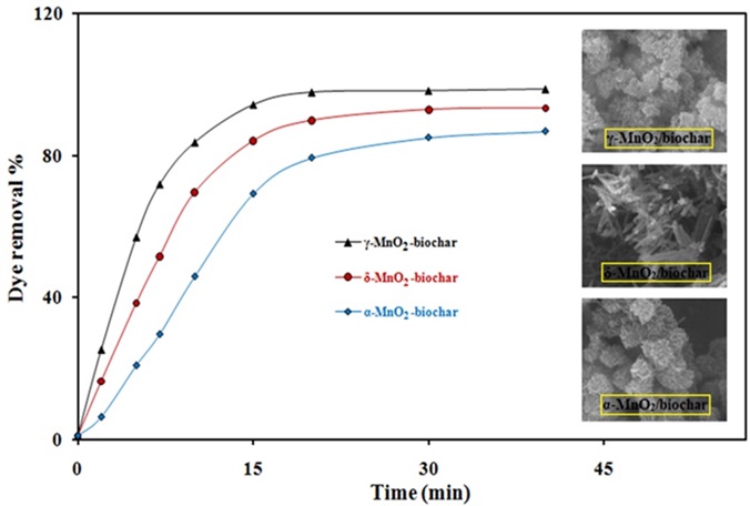 Fabrication of various morphologies of MnO2 nanostructures on biochar support for dye removal application 