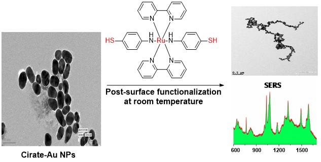 Functionalized nanocomposites of gold and their optical studies 