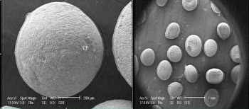 Effect of stirring to produce ferric saccharide capsules with alginate coating 