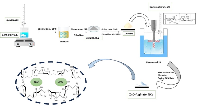 Synthesis, characterization and anti-inflammatory activity of an alginate–zinc oxide nanocomposite 