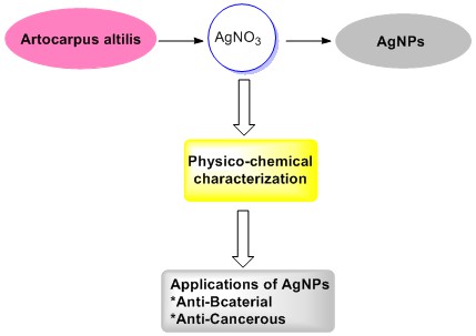 Cyto-toxicity and oligodynamic effect of bio-synthesized silver nanoparticles from plant residue of Artocarpus altilis and its spectroscopic analysis 